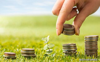 養老保險高基數繳費的真相 投入多五倍，領取卻非五倍