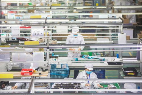 連續三年兩位數增長，漳州固定資產投資強勢領跑