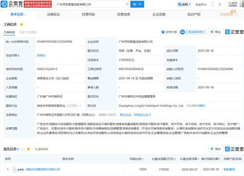 螞蟻集團成立靈知智慧控股公司，注冊資本17億進軍科技中介服務