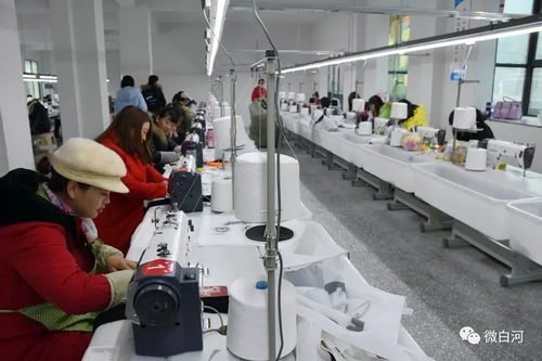 白河新添經濟活力 兩家玩具廠相繼投產，強化工程管理服務